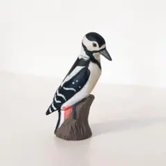 2026年最新】アカゲラの人気アイテム - メルカリ