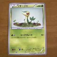 ツタージャ C BW1 001/053
