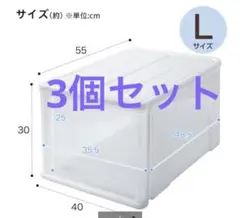 ニトリ　クローゼットケース　セレスFD (L/高さ30cm) 3個セット