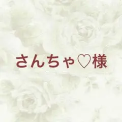さんちゃ♡様 リクエスト 2点 まとめ商品