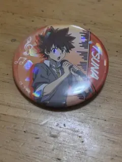 ひこくじ 家庭教師ヒットマンREBORN 沢田綱吉 リボーン 缶バッジ