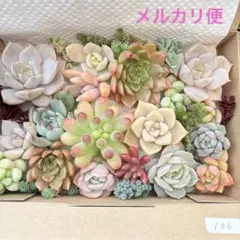 とめ様 リクエスト 2点 まとめ商品