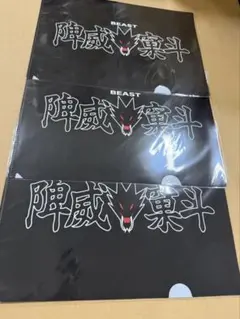BADBOYS クリアファイル　ビースト　3枚セット