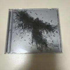 Aimer Black Bird/Tiny Dancers/思い出は奇麗で 【初