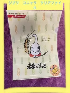 2026年最新】日清製粉 コニャラの人気アイテム - メルカリ