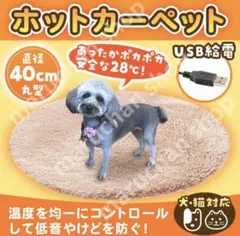 Item thumbnail for item 2425dde5-bef3-4b58-bbad-44b90e002080