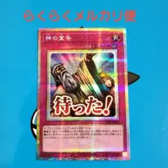 神の宣告 スリーブ 未使用 105枚 2025年最新】神の宣告 スリーブの人気アイテム - メルカリ