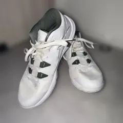 Item thumbnail for item 80d4562f-b671-4a68-9720-80ebf45ae6ef