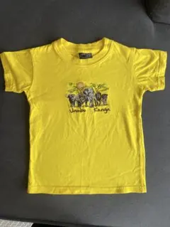 Airborne Jambo Kenya Tシャツ 刺繍 動物 70〜75のサムネイル