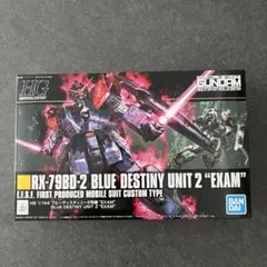 ✫新品未開封 HGUC ブルーデスティニーセット2号機＆3号機✫ - メルカリ