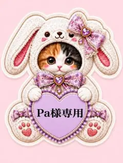 Pa様専用