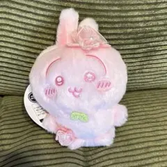 Item thumbnail for item a8040fc2-096e-4ad7-b740-c2ed4e5e64d7