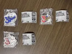 ポケモン 30周年 メタルチャームマスコット ルナアーラ ザマゼンタ コライドン