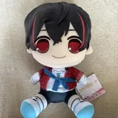 カラフルピーチ おおきなBIGぬいぐるみ タグ付き ゆあん