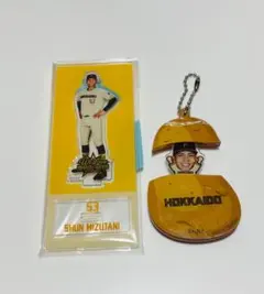 水谷 瞬 アクスタ アクキー WE LOVE HOKKAIDO じゃがいも