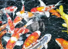 Item thumbnail for item 028f1cad-6d7d-4c1e-a857-3234b5adcbe5