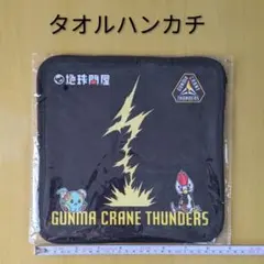 群馬クレインサンダーズ タオルハンカチのサムネイル