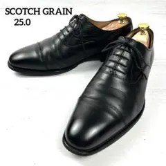 Item thumbnail for item c0811d0c-0342-41c6-99cd-78aa19f58bbc