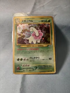 メガニウム_プレミアムファイル PROMO 第1世代 1996~1999