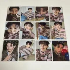 RIIZE ショウタロウ ALLOFYOU トレカ セット