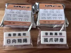 ハイキュー　全国遠征　名札クリップセレクション　vol.1 日向翔陽　孤爪研磨