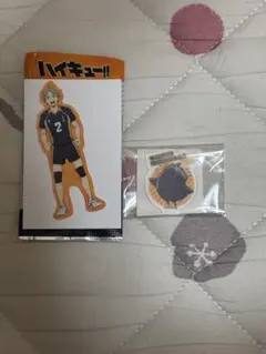 ハイキュー！！ 思い出シャイニー缶バッジ 菅原孝支 - メルカリ