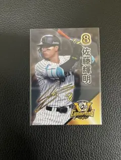 スズキスイッチ様 リクエスト 2点 まとめ商品