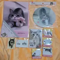 もちまる日記 猫 セット クリアホルダー マウスパッド 付箋 名刺 ステッカーのサムネイル