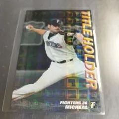 2007 カルビープロ野球カード　タイトルホルダー　中村マイケル　日本ハム