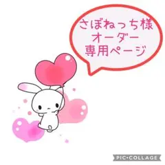 さぼねっち様　オーダー専用ページ