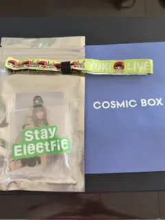 YUKI COSMIC BOX ライブグッズ &継続特典バッジ