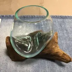 流木ガラス　テラリウム　オブジェ　花瓶