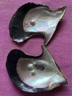 Item thumbnail for item ba91a575-729f-48d6-abed-1311df49c623