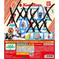 仮面ライダーシリーズ めじるしアクセサリー4 4点