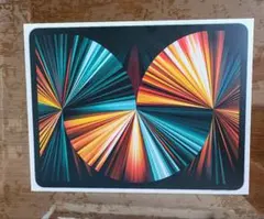 iPad pro12.9インチ 第5世代 Wi-Fi + Cellular