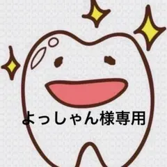 よっしゃん様専用ページ 歯ブラシ P20M