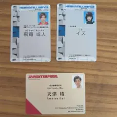仮面ライダードライブ 免許証 進ノ介&チェイス - メルカリ
