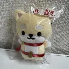 まめちい 🐶「わ〜かっこいいな✨ちまたありがとう！」 🐰「まめちぃに