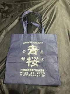 Item thumbnail for item f313f94c-7c91-44aa-ad73-f603094ceca8