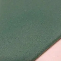 TEIJINシルパール グリーン 無地 ポリエステル 約180×35cm巾