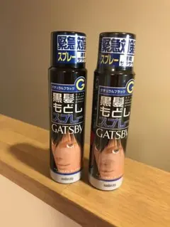GB ターンカラースプレー Nブラック 60g 2本組のサムネイル
