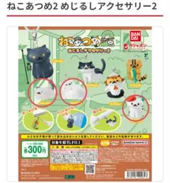 ねこあつめ2 めじるしアクセサリー