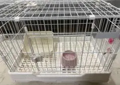 Item thumbnail for item e52ba02b-2168-4d70-b970-0a3492e5b3c4