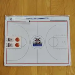 Item thumbnail for item 2386b271-71aa-4c1a-97a8-1182d53db460