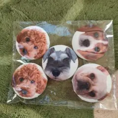 Item thumbnail for item 57666d67-100b-4e62-9fd7-9a7e52fce432