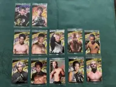 RIZINウエハース'24ファイターカード　12枚セット