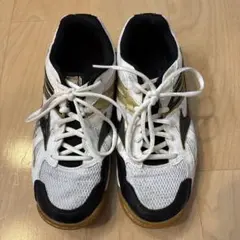 Mizuno バレーボールシューズ ホワイト/ブラック/ゴールド