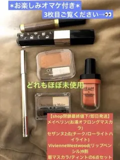 【閉店最終価格】✶即日発送メイク6点セット