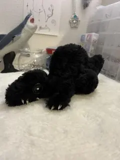 Item thumbnail for item 439ece0f-997e-4f5b-8a8d-766fdad3f910