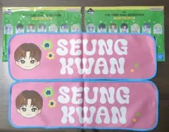 Item thumbnail for item 6e612bc9-ccc6-4861-838a-7fc38f909ede